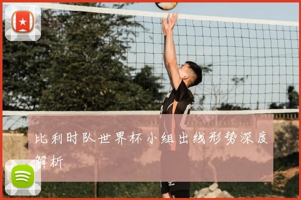 比利时队世界杯小组出线形势深度解析